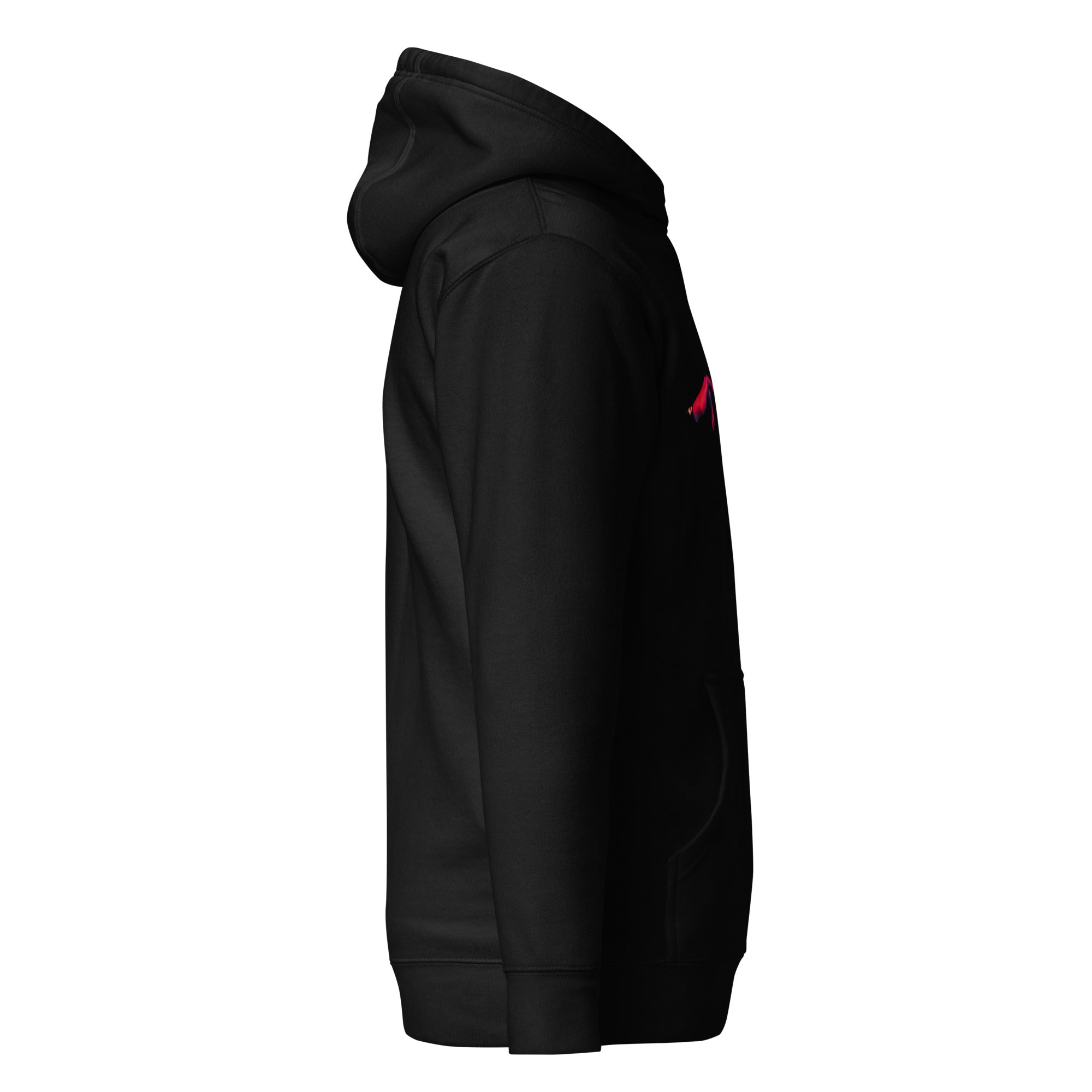 Soul Connection Unisex Hoodie