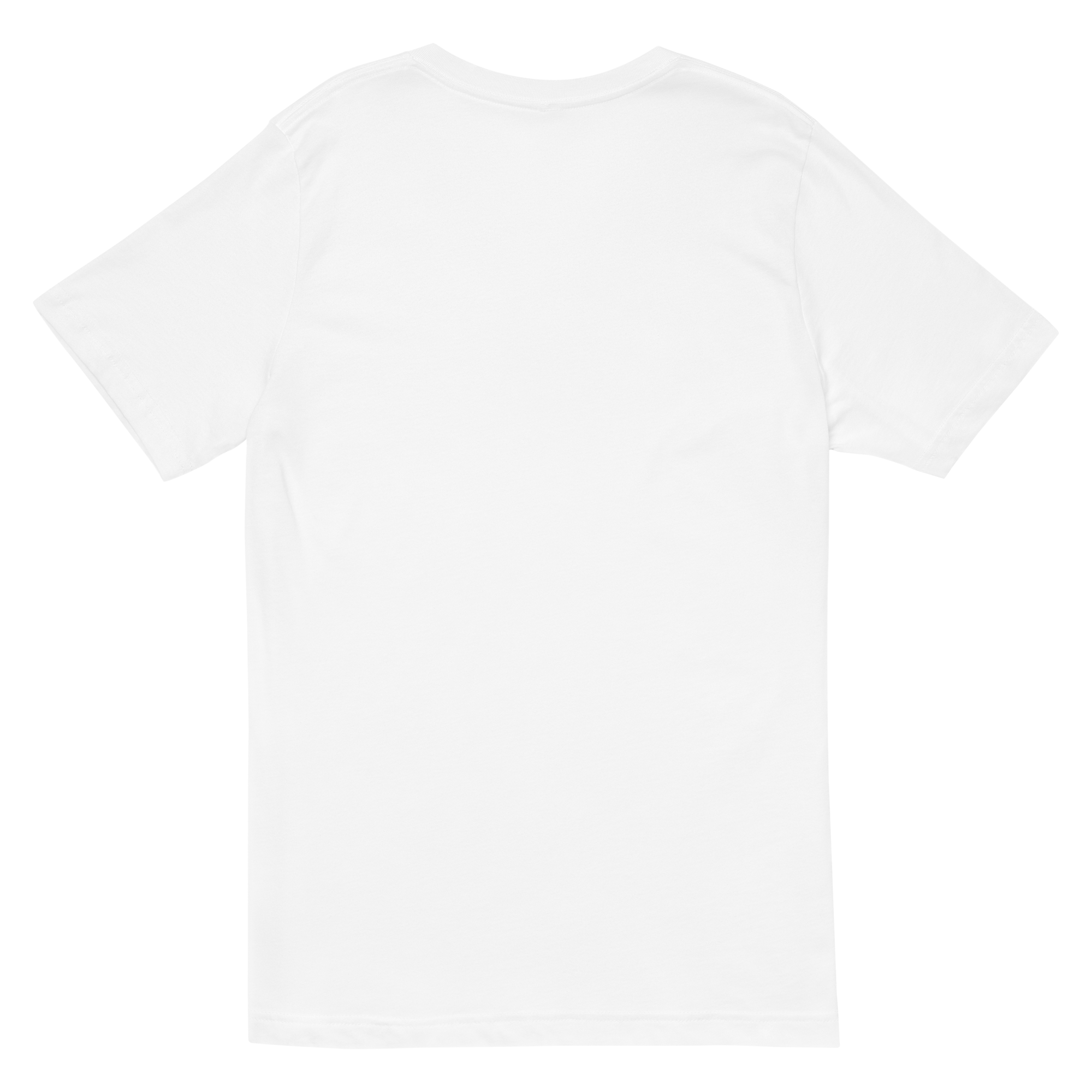 Fierce Basic Collection V-Neck Tee